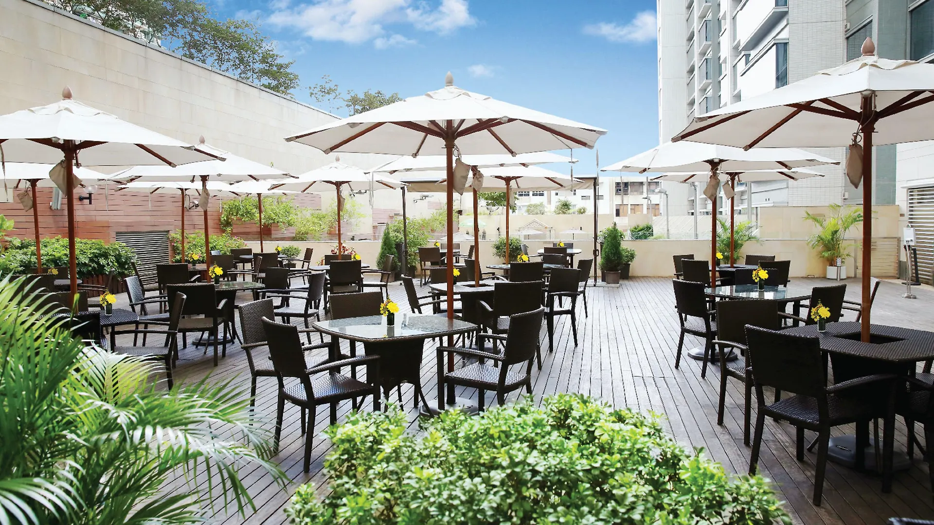 ****  Hotel Harbour Plaza 8 Degrees Hong Kong China